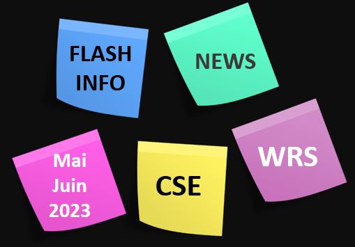 Les échos du CSE de Villaroche